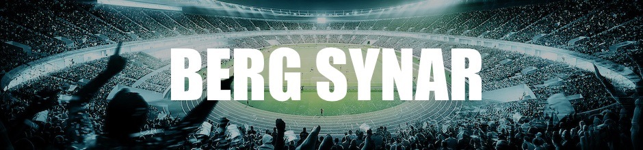 Berg Synar